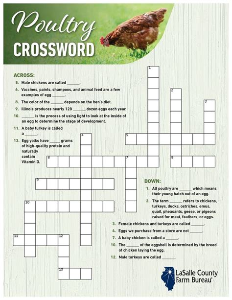 poultry choice crossword|More.